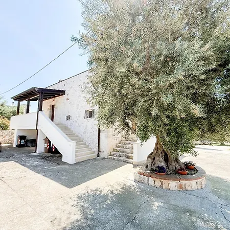 Domusmina Apartamento *